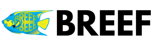 Client